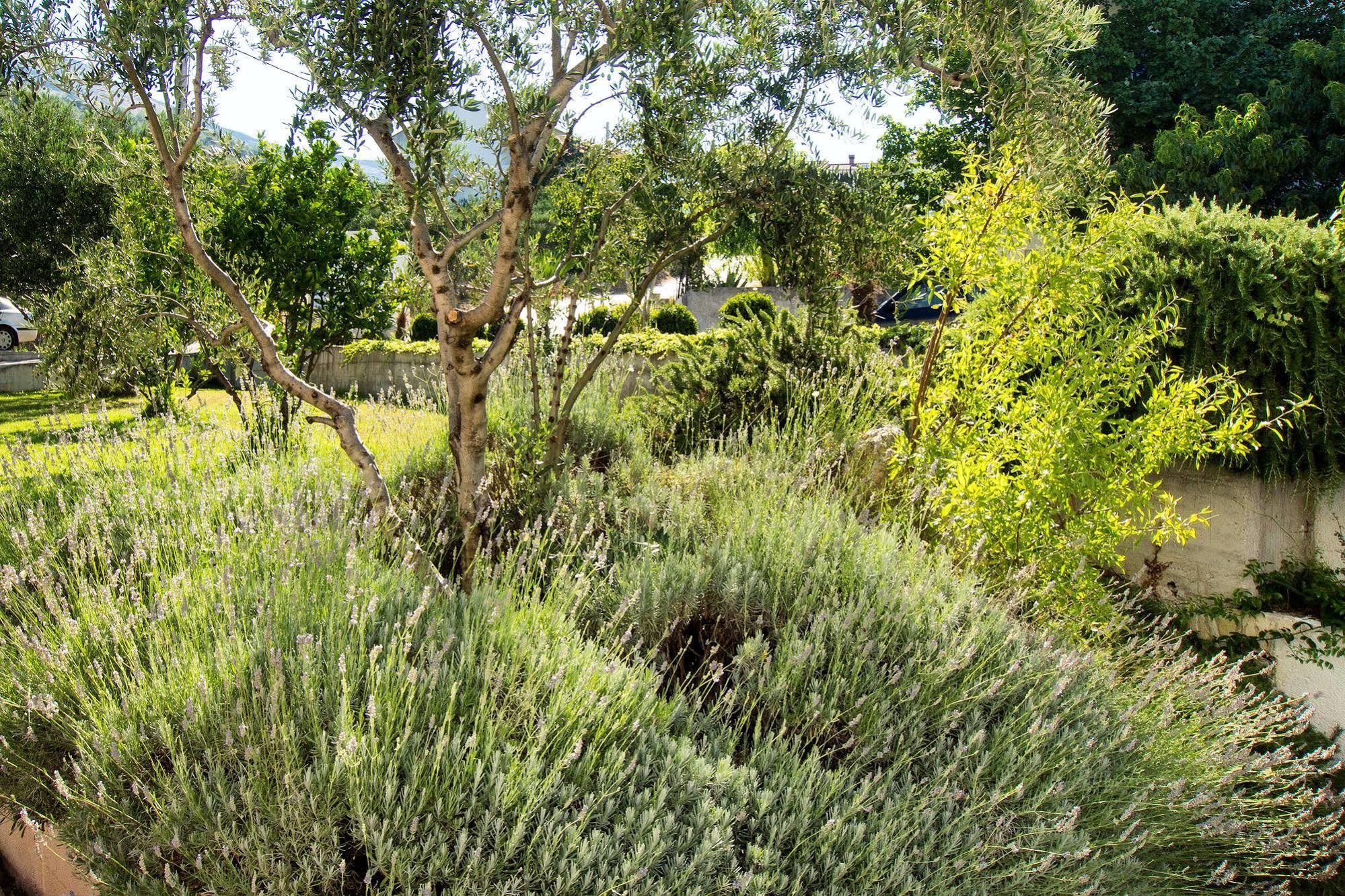 Villa Lavanda Podstrana Dış mekan fotoğraf