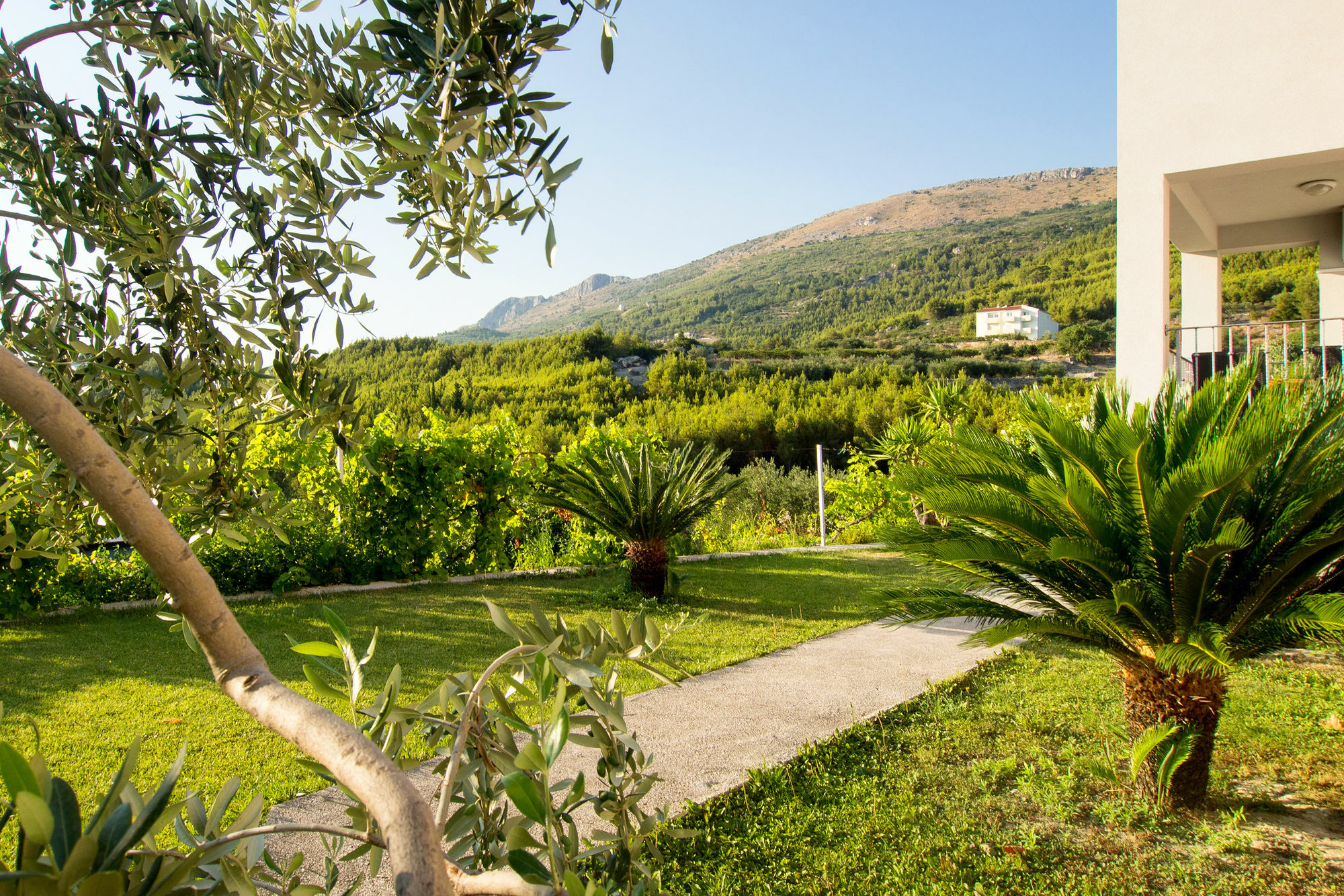 Villa Lavanda Podstrana Dış mekan fotoğraf